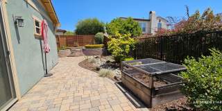 Beautiful Newer Rice Ranch Single Story Home in Orcutt Gallery 44
