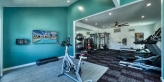 Hayden Park Gallery 24