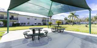 Palm Cove Apartments Gallery 16