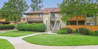 Citrus Place Gallery 57