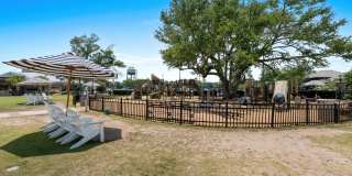 Golf Paradise Gallery 61