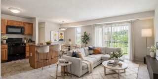 Brookstone Gallery 1