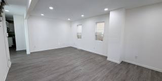 907 Rugby Street Gallery 5