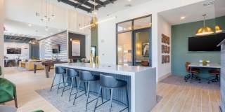 Altera Jacaranda Gallery 8