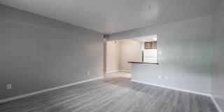 Castlewood Gallery 27