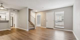 Buena Vista Gallery 64