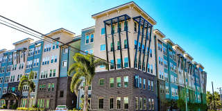 Novus Westshore Gallery 31