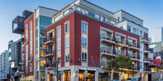 Elan Luxo II Gallery 1