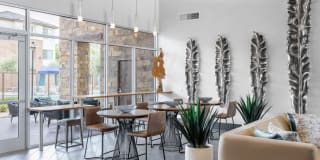 Ocio Plaza del Rio Gallery 41