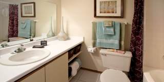 Lionshead Apartments Gallery 31