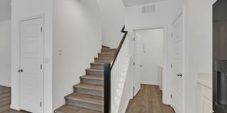 3742 Canis Minor Lane Gallery 12