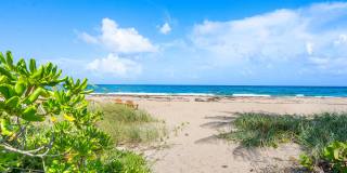 30 Hersey Drive Gallery 30