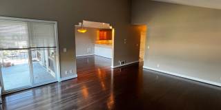 Pierre Condo's Gallery 1