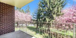 The Worthington Gallery 11