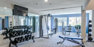 Madison Glen Mills Gallery 10