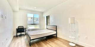 Barry Diamond Gallery 50