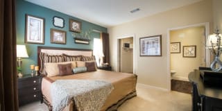 Odyssey Lake Apartments Gallery 27