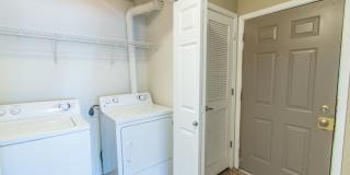 Adriana Court Gallery 30