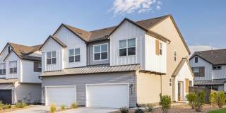 VellaTerra Gallery 1