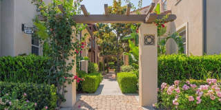 56 Scarlet Bloom Gallery 20