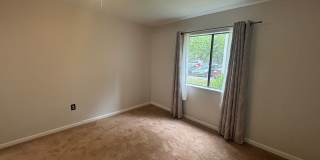 Newly renovated FIRST floor 2/2 - Will go fast Gallery 4