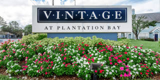 Vintage at Plantation Bay Gallery 27