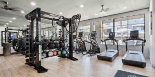 Zone Westgate Gallery 5