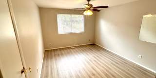 1537 W Ponderosa Ln Gallery 8