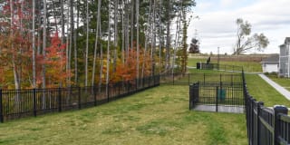 Springs at the Reserve Gallery 31