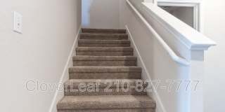 2126 Silver Maple Gallery 26