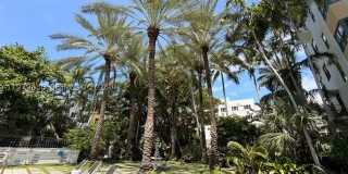 2445 Lake Pancoast Dr Gallery 29