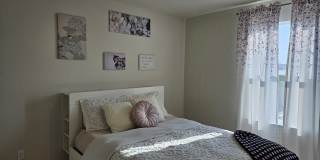 535 Wild Olive Way Gallery 33
