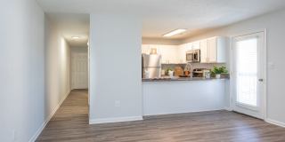 Timber Woods Gallery 3