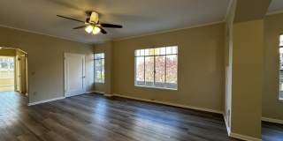 Bellevue Towers Gallery 4