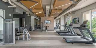 500 West Trade 500 West Trade Gallery 40