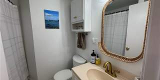 41 Dudley Avenue Gallery 16