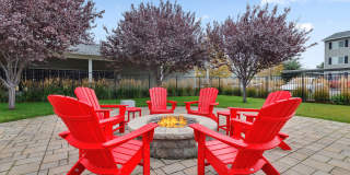 Trillium Gallery 1