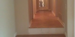 Gorgeous 4 bedroom 2 bath home Gallery 5
