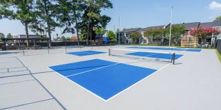 ReNew Towne Oaks Gallery 33