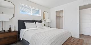 Amazon Falls Gallery 12