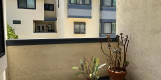 Spacious 2 Bedroom 2-1/2 Bathroom Townhome with 2-car garage in La Jolla near UCSD Gallery 30