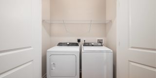 Alta Citron Gallery 59