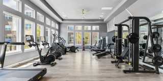 Cobalt Apartments Gallery 10
