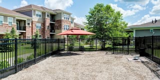 Algonquin Square Apartments Gallery 15