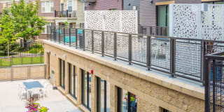 The Paxon Gallery 31