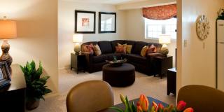 Colonial Square Gallery 15