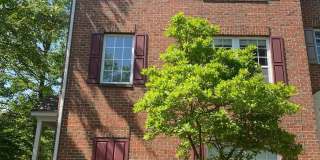 5900 TRUMPET SOUND CT #11 Gallery 1
