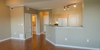 Radius Turtle Creek Gallery 19