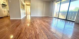 1502 THE WOODS Gallery 6