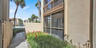 596 ORANGE DRIVE Gallery 21